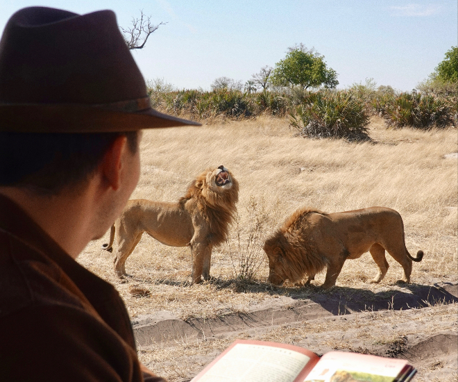为什么和超越 博茨瓦纳的桑迪贝是必看的非洲冒险之旅