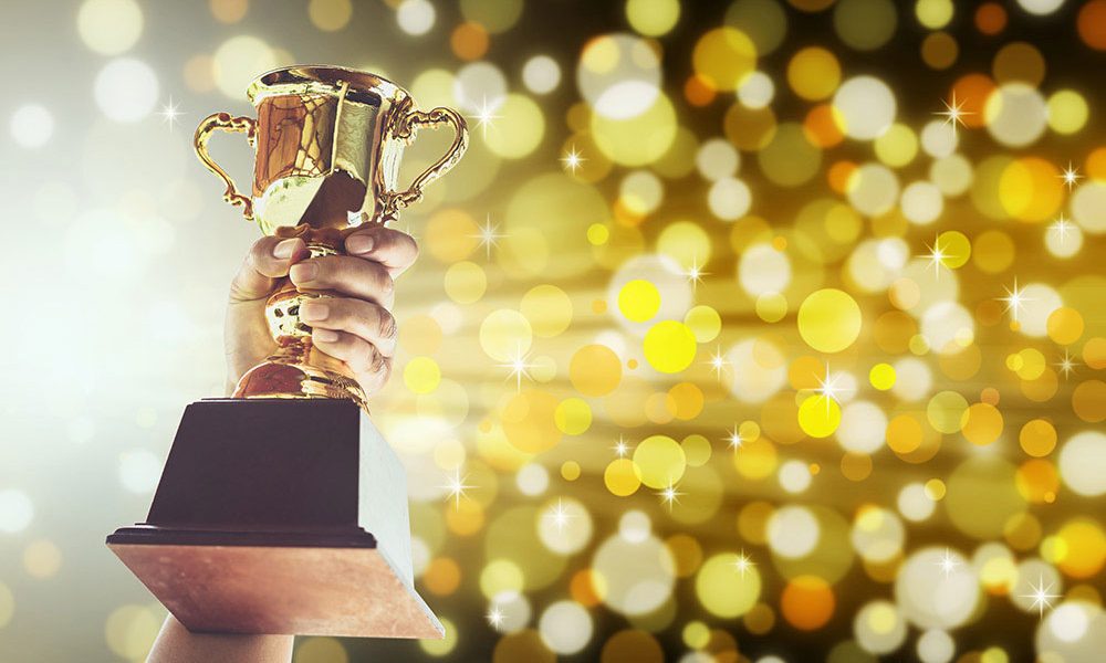 TJS 为 2024 年版颁发四项奖学金