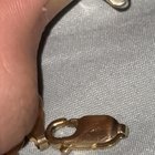 链扣脱落了，但没有损坏？？！！