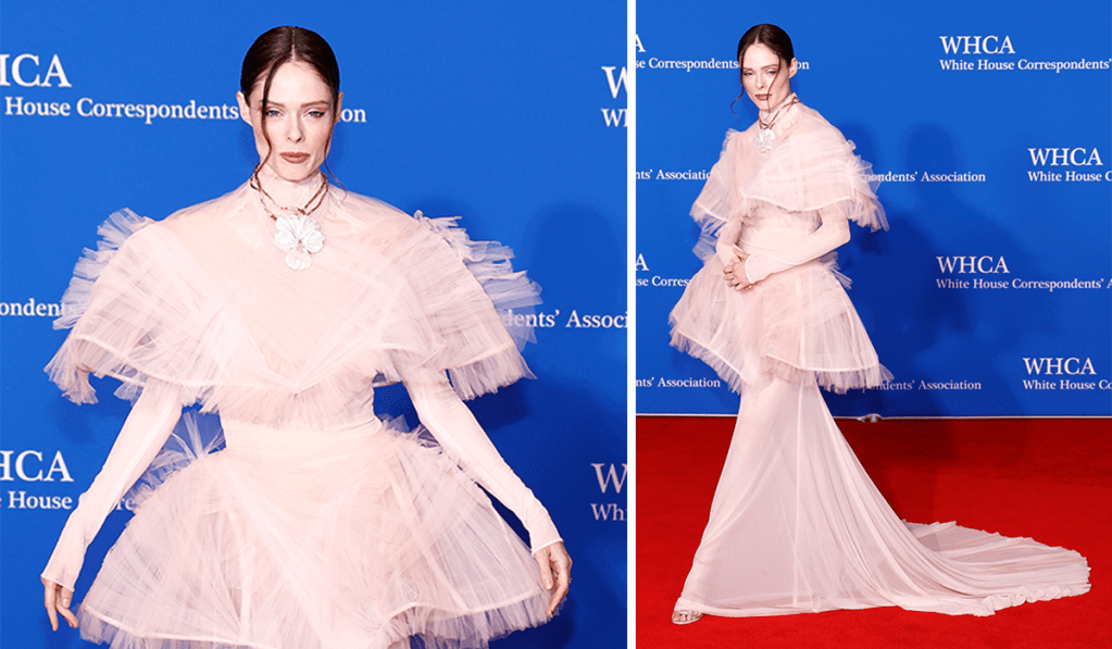 可可·罗查 (Coco Rocha) 身着 Siriano 出席 2024 年白宫记者晚宴