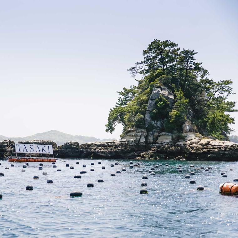 书评：玛丽亚·多尔顿的《塔萨基平衡》