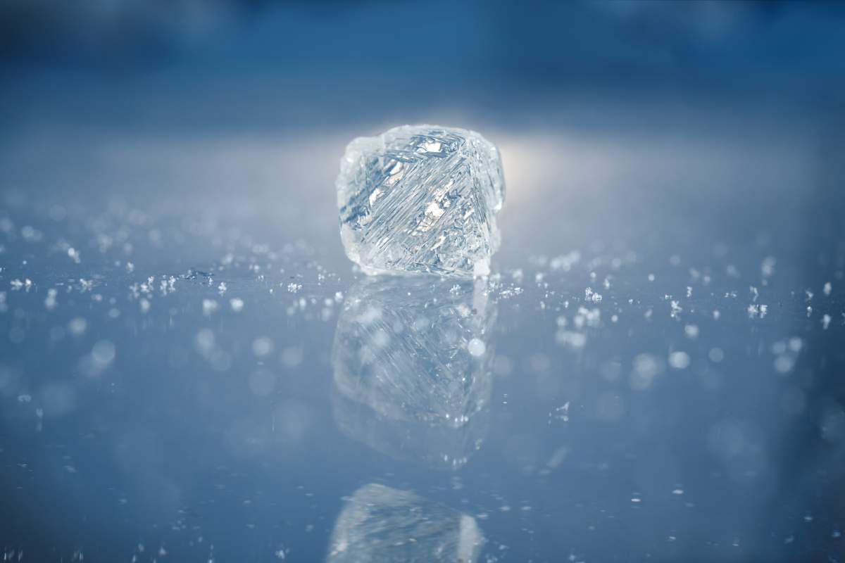 NDC推出“Real”。 稀有的。 与莉莉·詹姆斯一起开展负责任的活动