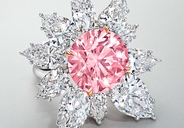 《伊甸园玫瑰》不辜负拍卖前的大张旗鼓，在纽约佳士得拍出 1300 万美元的高价