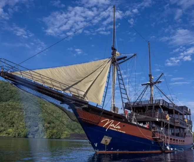 Charter 在印度尼西亚达到顶峰，Nala 处于领先地位