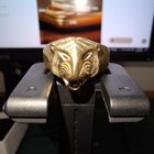 它是从父亲传给儿子的