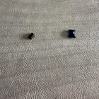 值得把它带到珠宝商那里吗？