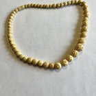 有这方面的信息吗？