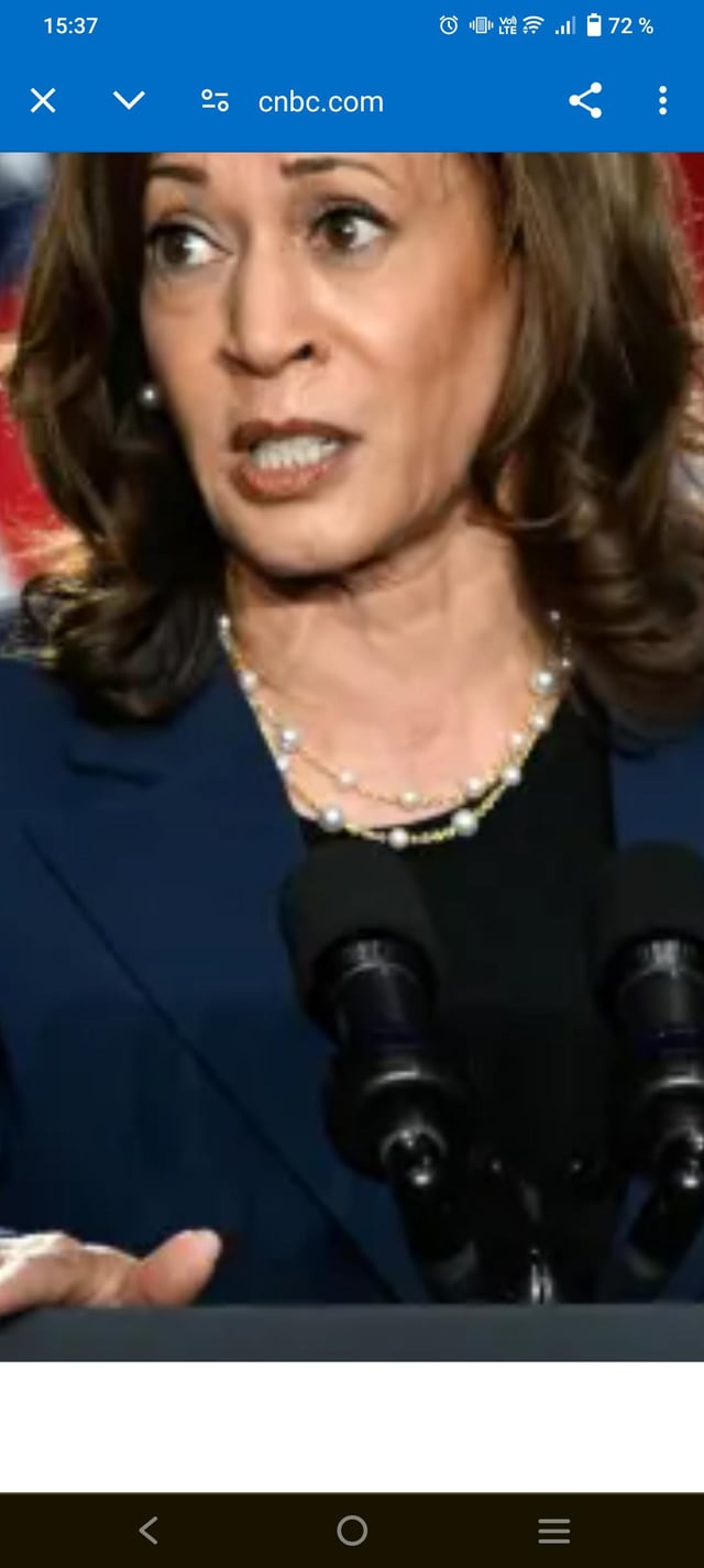 你能帮我鉴定一下这条项链吗？