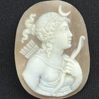 我很想了解有关此客串的一些信息：