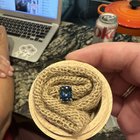 Scott Bonomo 2.5 克拉枕形切割伦敦蓝色托帕石 14k 白金 - 它看起来像什么？