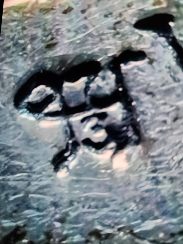 银标