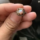 在储藏室里发现了这个小家伙。我想知道是不是年纪大了？