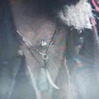 很抱歉质量很差，但是这种类型的频道叫什么？