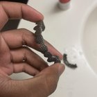 这个可以修复吗？