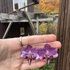 刚刚完成了这些真正的蜥蜴耳环