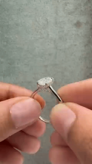 对哈塔米的诚实看法？我们一起设计的