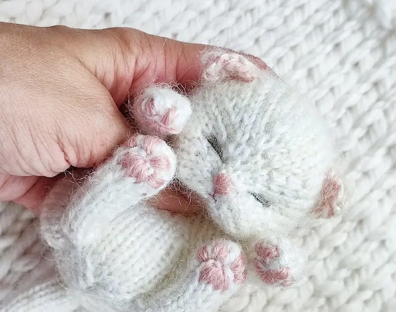 为别针和玩具编织阿米古鲁米动物的绝佳教程