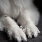 我想以某种方式包括我的女儿们！