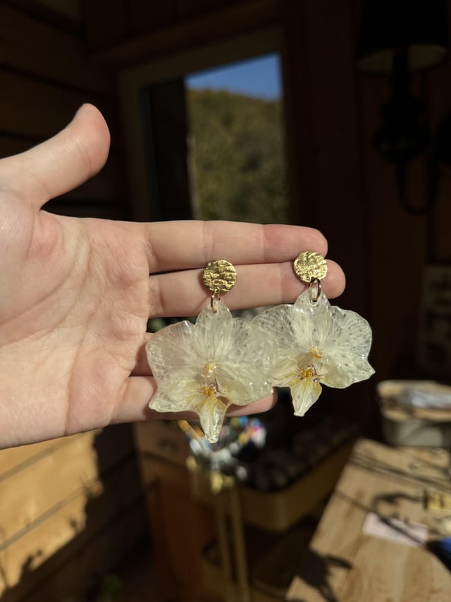 我用树脂铸造的白色兰花