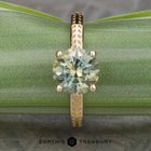 有帮助！这个乐队是个坏主意吗？