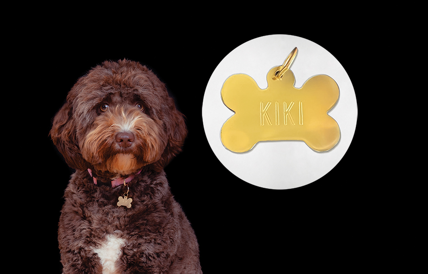 A New Diamond Collection from Midas Chain, Engagement Ring Embellishers from Verragio, and More Fresh Collections for March