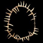 一条由Enoachha启发的项链