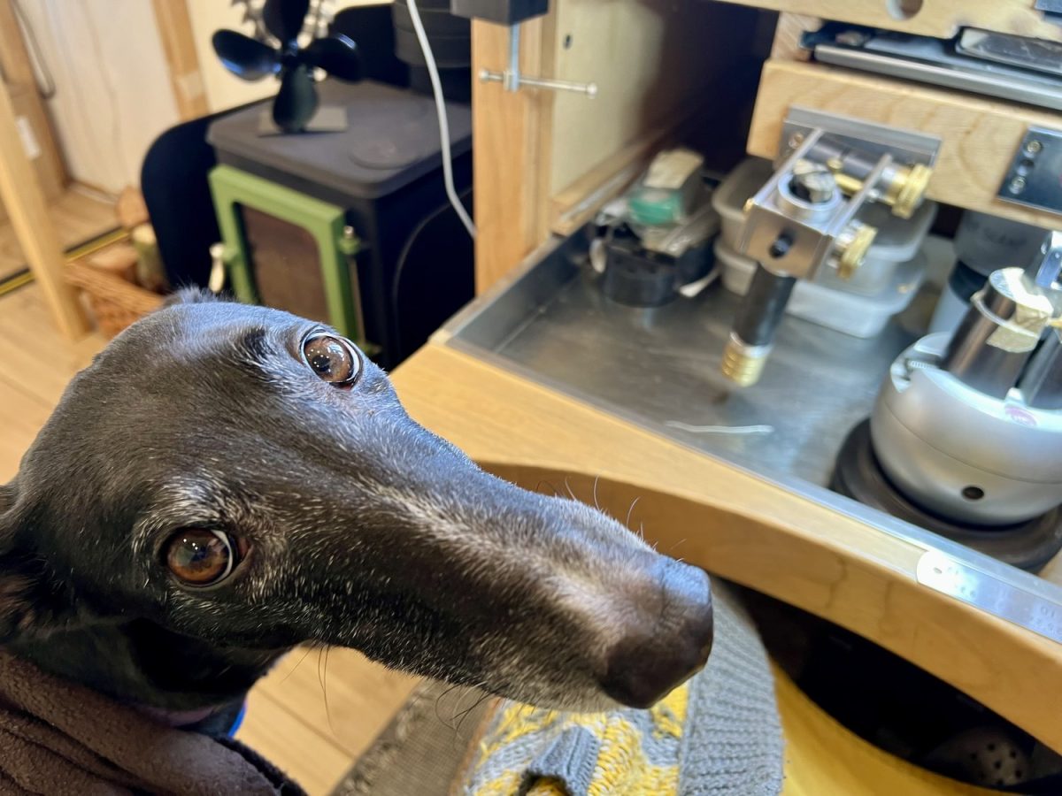 您要支付公平的价格吗？ - 安娜·麦克劳林（Anna McLoughlin）道德珠宝