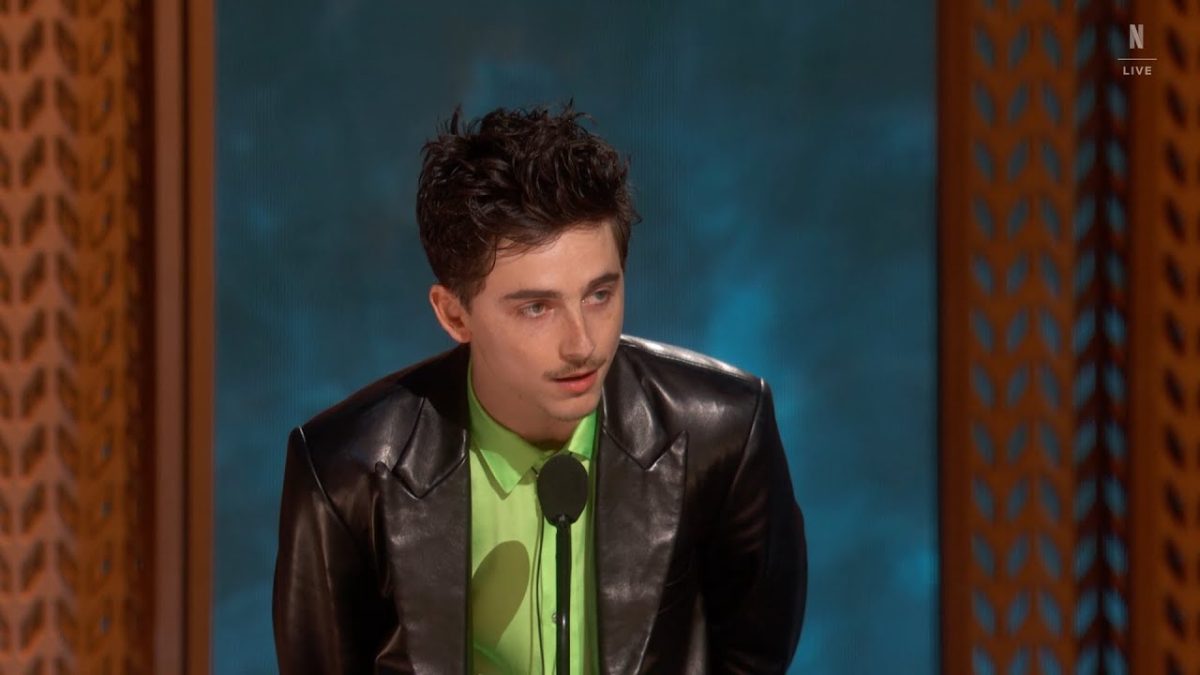 Timothee Chalamet：第31届年度奖项下垂