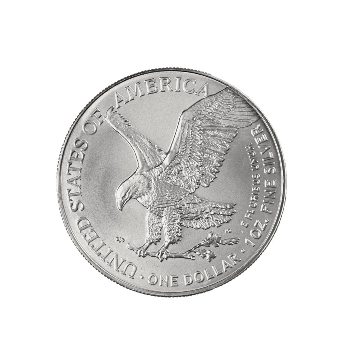 American Silver Eagle Back