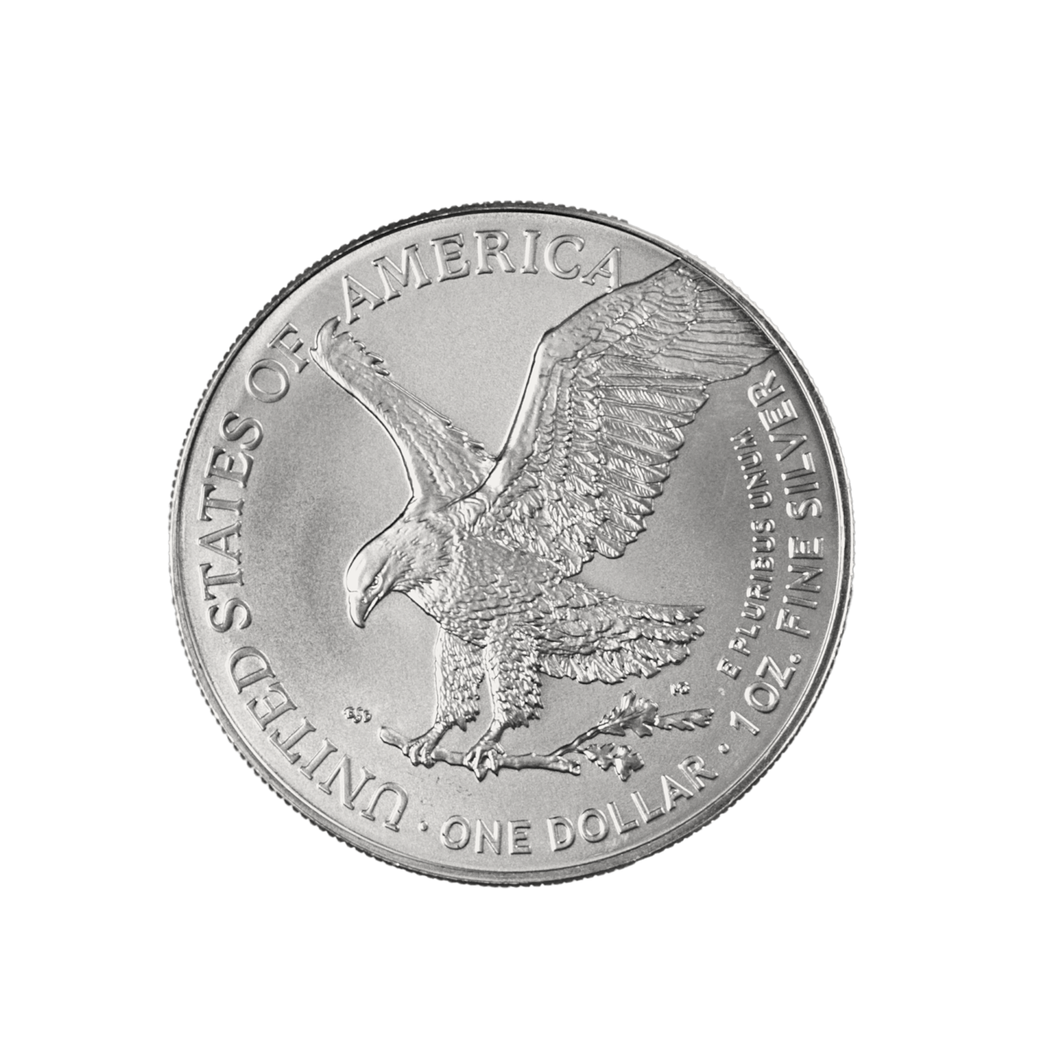 American Silver Eagle Back
