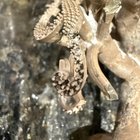 也就是说，以及所有必要的帮助