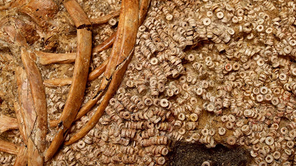 270,000个制造的珍珠有助于讲述5，000年前高级女性的故事