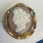 我收集了客串珠宝，但没有找到这样的东西吗？