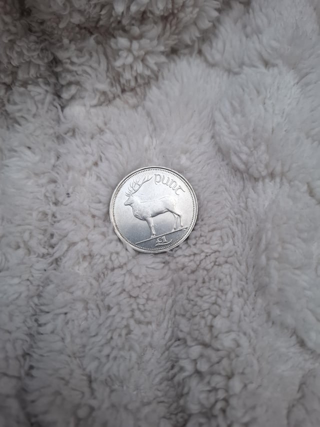 将它们的外观固定在旧货币中