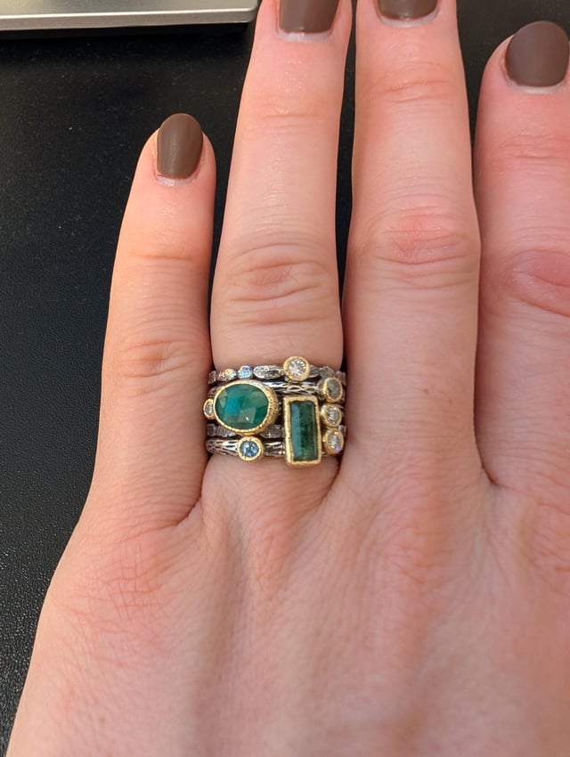 Rona Fischer退休了！！