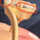 我的猎人只是疏忽吗？