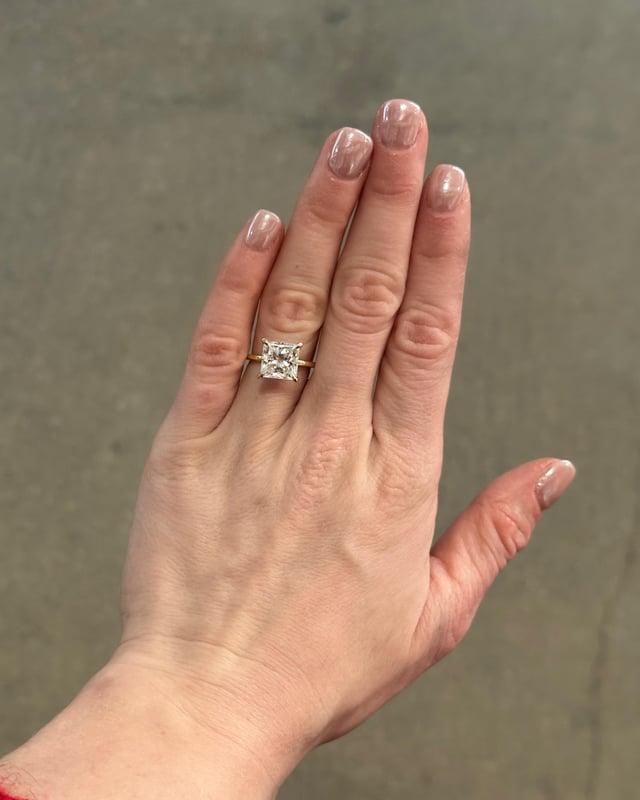 公主独自一人带来