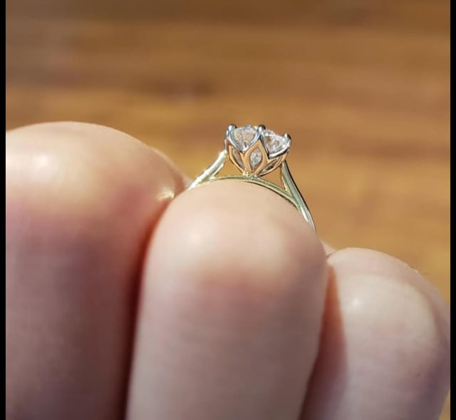 显示您独特的郁金香设置！