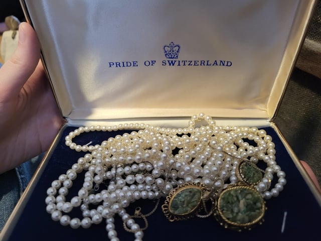 树干中的古老珠宝