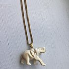 这是酒吗？不可能知道骨头或塑料是