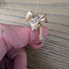 有趣的戒指，idk如何处理！