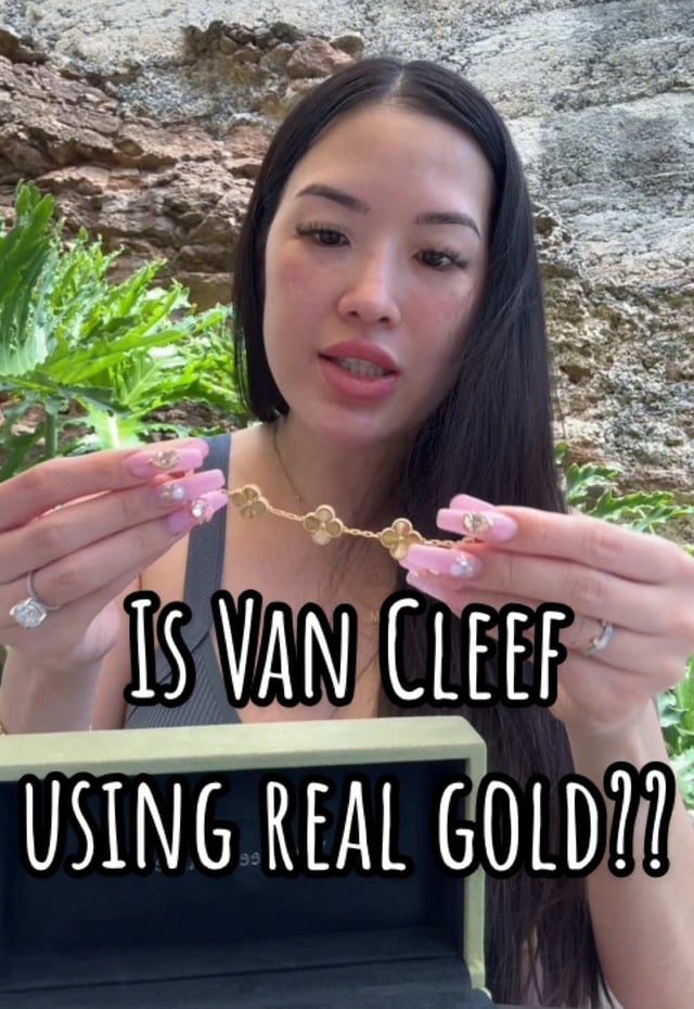 关于范·克莱夫疯狂和混乱的争议的想法？