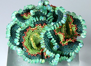 温迪·埃尔斯沃思