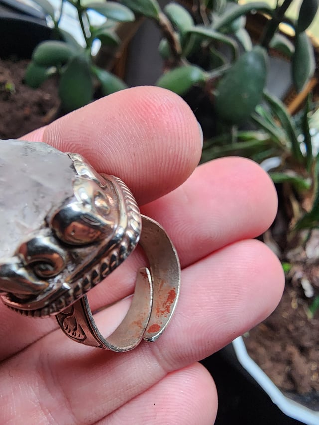 我如何仍然不中毒而穿这个情节？