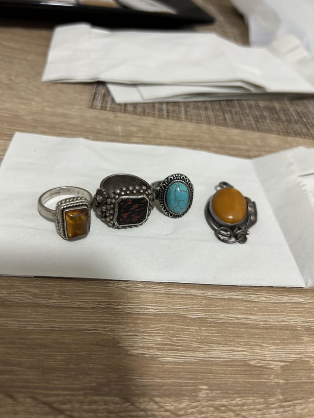 波斯尼亚反发现