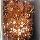 这对任何人来说似乎都很熟悉吗？这是什么？