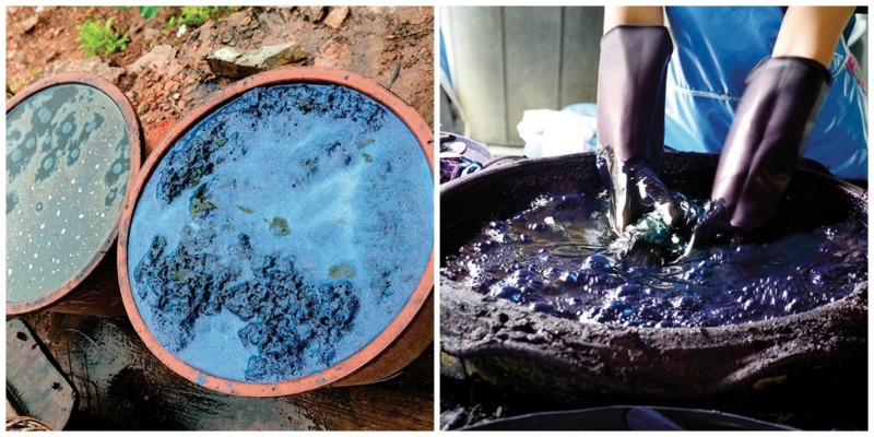 蓝色互锁：靛蓝简介|针织