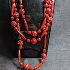 在荒野中首次发现了原始的贝尔特人！