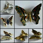 来自西德的蝴蝶别针