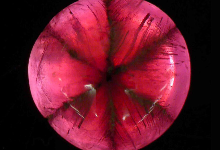 不，你不是盲目的，我真的很红